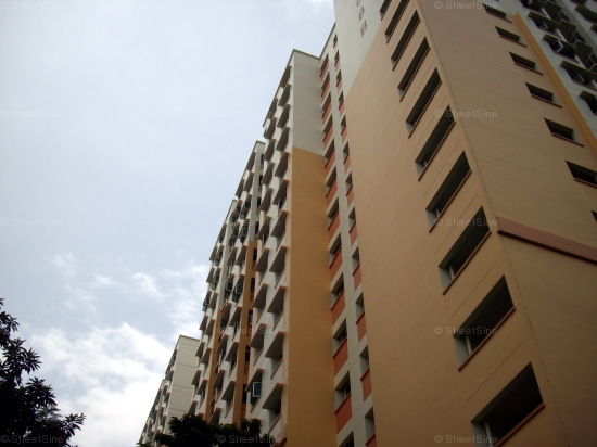 Jurong West Street 64 thumbnail photo